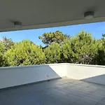 Pinewood